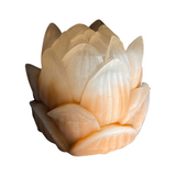 Lotus Tvål, cruelty free, Sweden, soap, best vegan soap